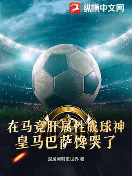 西甲的足球 西甲的足球