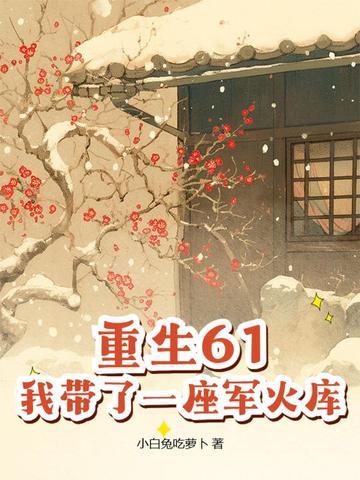 重生61我带了一座军火库 重生61我带了一座军火库