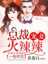 一胎两宝总裁宠妻火辣辣 乔落白改编剧 一胎两宝总裁宠妻火辣辣 乔落白改编剧