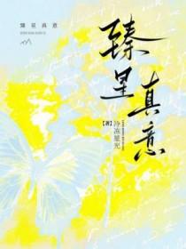臻星的意思 臻星的意思
