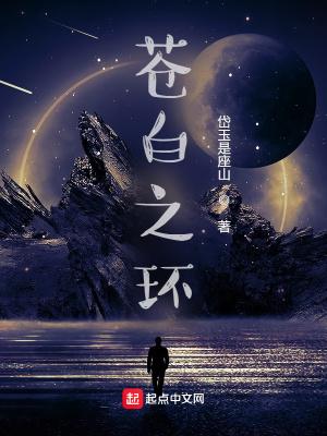 苍白之心 苍白之心