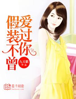 假装不曾爱过你全文免费阅读林浅 假装不曾爱过你全文免费阅读林浅