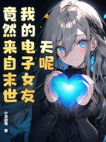 我的电子游戏女友 我的电子游戏女友