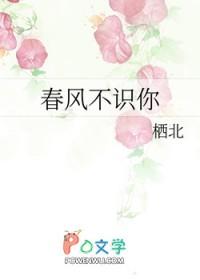 春风不识你TXT