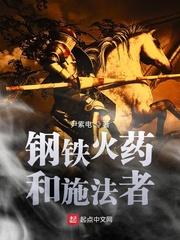 钢铁火药和施法者sodu 钢铁火药和施法者sodu