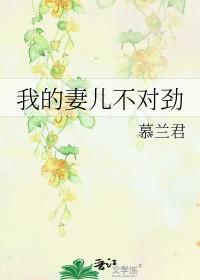 我的妻儿不对劲说书评 我的妻儿不对劲说书评