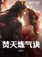 焚天炼气诀林凡百度免费 焚天炼气诀林凡百度免费