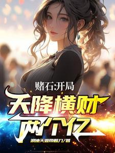 赌石天才在都市 赌石天才在都市