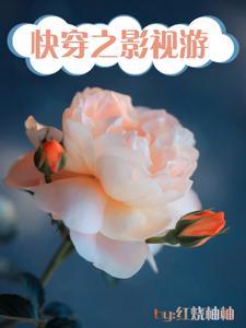 以影视为主的快穿文推荐 以影视为主的快穿文推荐