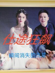 仕途狂飙沈清晏周墨 仕途狂飙沈清晏周墨