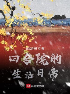 四合院的生活日常 四合院的生活日常
