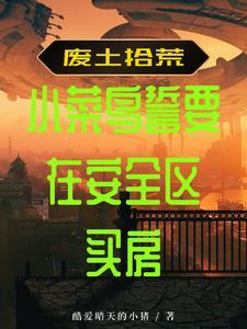 废土拾荒小菜鸟誓要在安全区买房 废土拾荒小菜鸟誓要在安全区买房